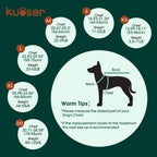 Kuoser — Chaleco Salvavidas con Alta Flotación, Tiras Reflectantes y Asa de Rescate para Perros