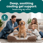 Furhaven Cooling Gel — Cama con Gel Refrescante para Perro