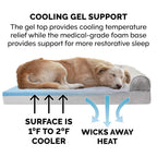 Furhaven Cooling Gel — Cama Ortopédica con Gel Refrescante, Bolsters Removibles y Cubierta Lavable para Perros Grandes