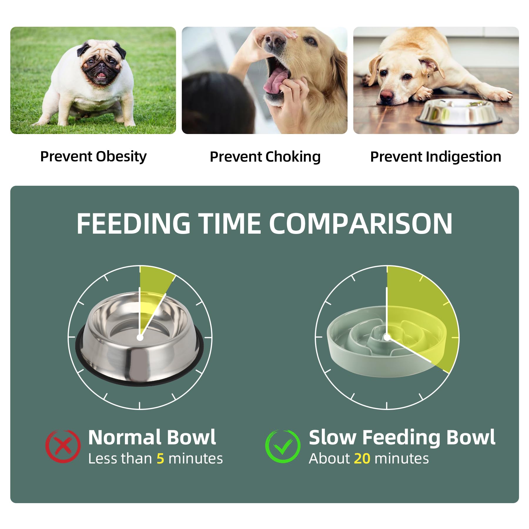 Havniva — Tazón Comedero Lento de Cerámica para Mascotas — Alimentación Pausada y Saludable para Perros y Gatos