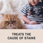 Eye Envy Tear Stain Remover Solution — Solución Removedora de Manchas de Lágrimas para Gatos