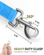 OutdoorMaster Bungee — Correa Elástica con Doble Mango Acolchado y Mosquetón 360° para Perro