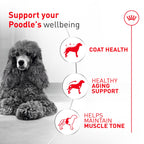 Royal Canin Breed Health Nutrition Poodle Adult — Croquetas para Perro Adulto Raza Caniche