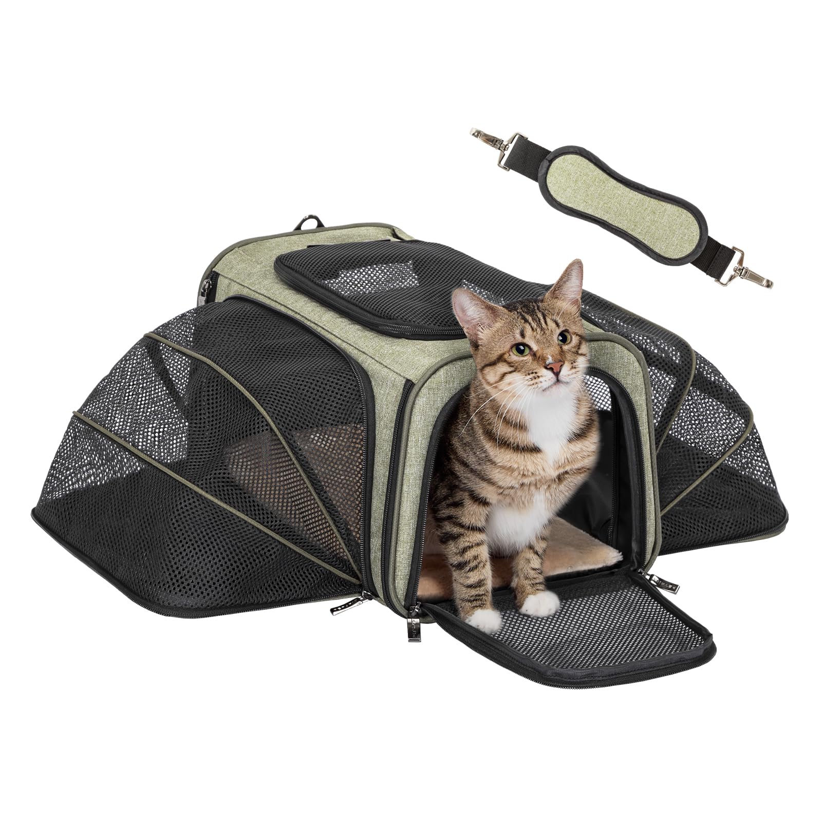 Petsfit — Transportadora Expandible para Gatos y Perros Pequeños, Aprobada por Aerolíneas, Plegable, Lavable y a Prueba de Escapes con 2 Paneles de Expansión