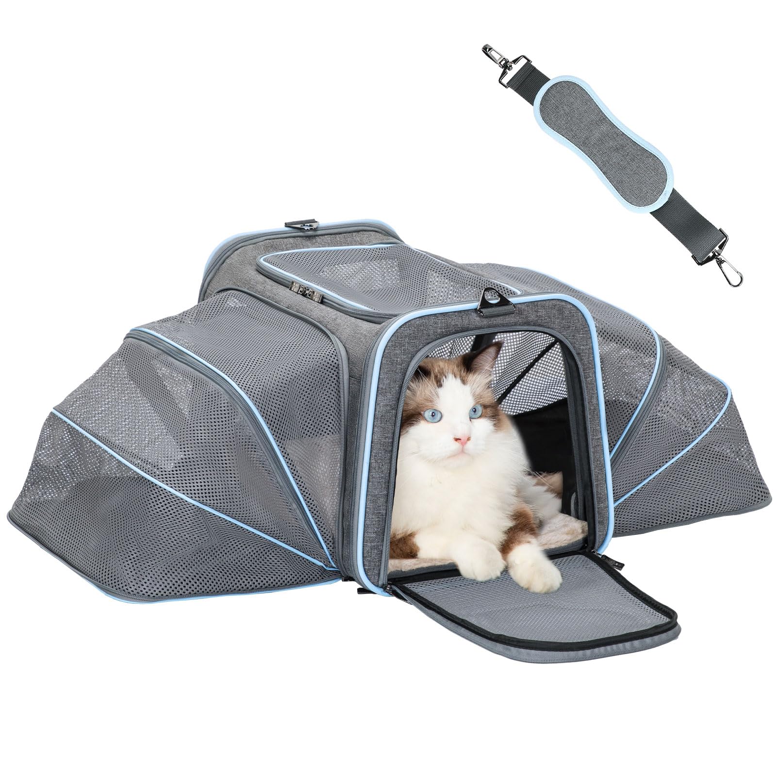 Petsfit — Transportadora Expandible para Gatos y Perros Pequeños, Aprobada por Aerolíneas, Plegable, Lavable y a Prueba de Escapes con 2 Paneles de Expansión
