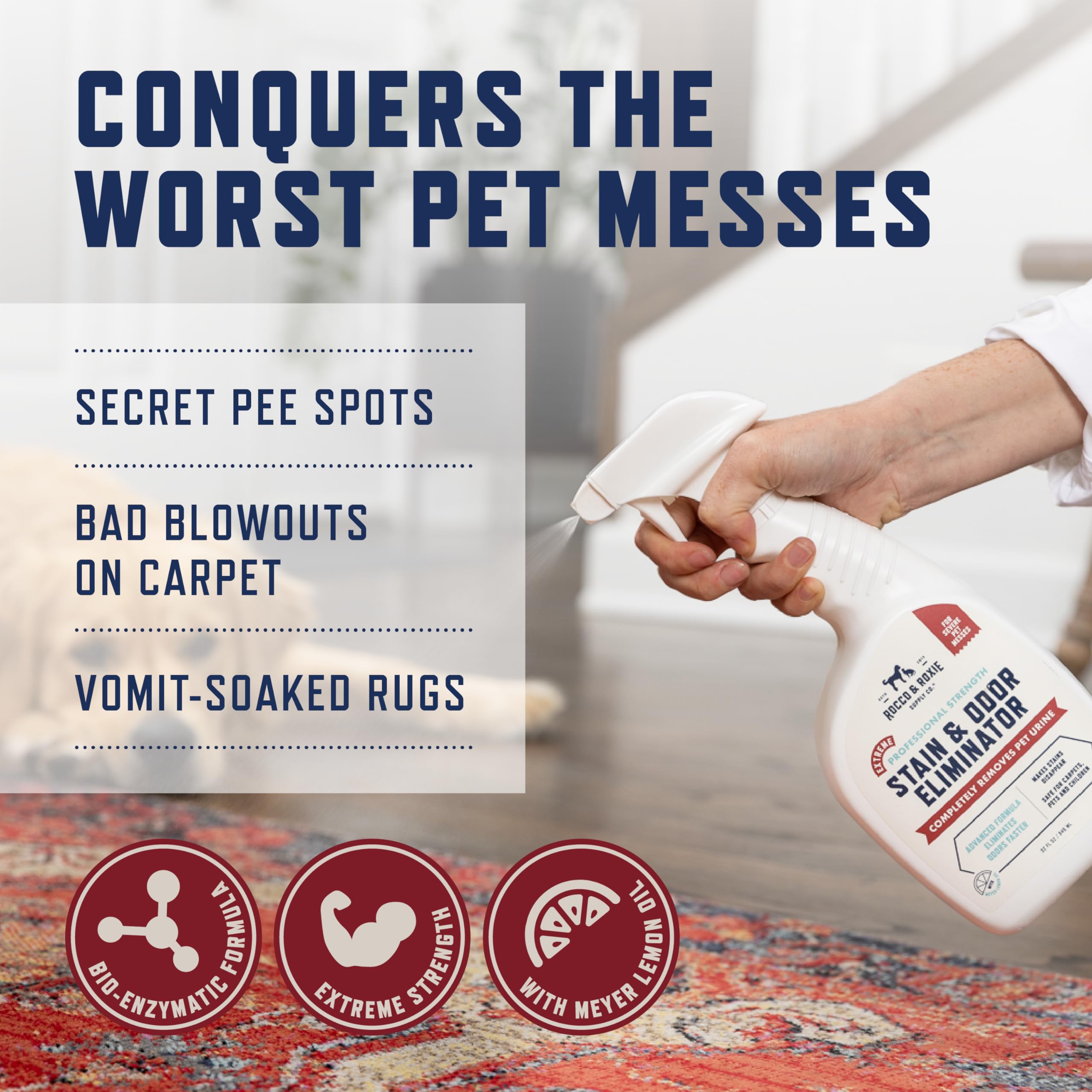 Rocco & Roxie Stain & Odor Eliminator — Eliminador Enzimático de Manchas y Olores para Perros y Gatos