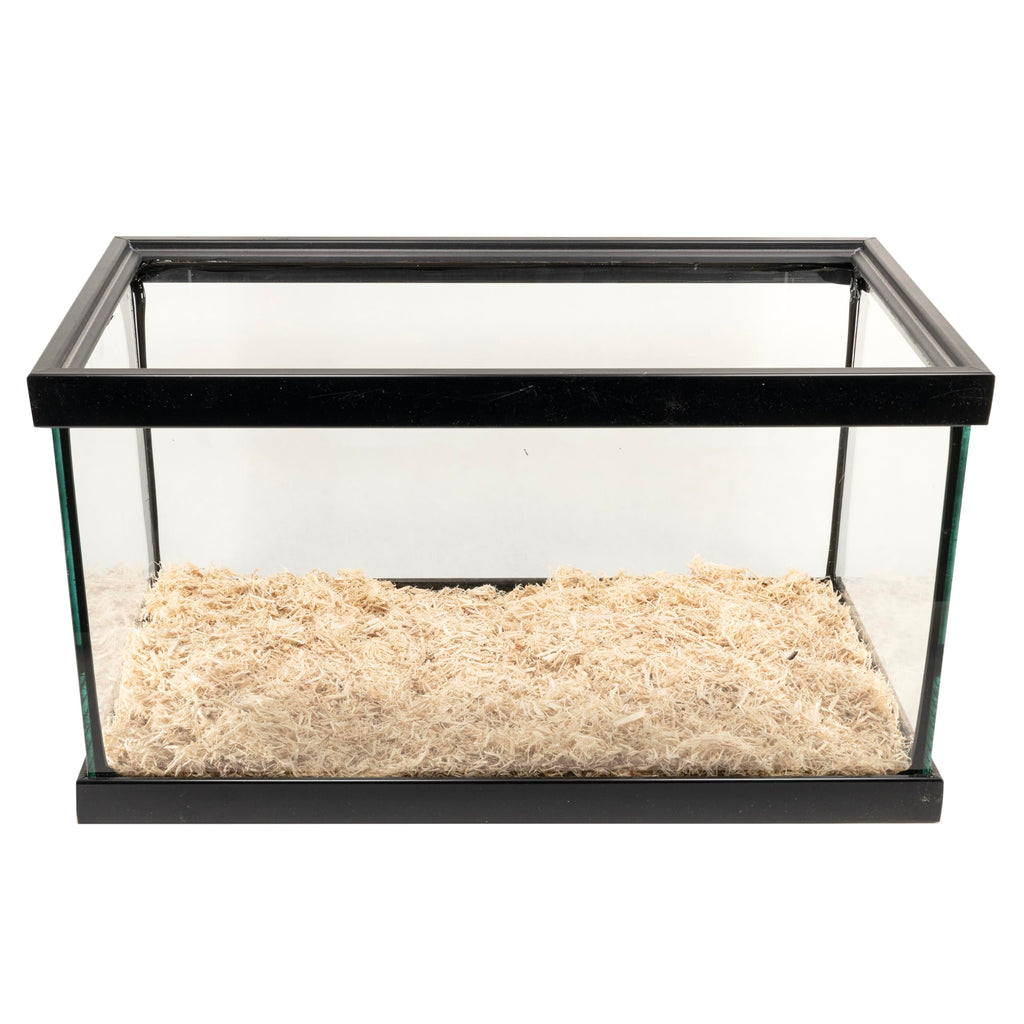 Zoo Med Aspen Snake Bedding — Sustrato Natural de Álamo para Serpientes, Lagartos, Tortugas, Tarántulas e Insectos, 4 Quartos (casi 4 litros), 99.9% Libre de Polvo