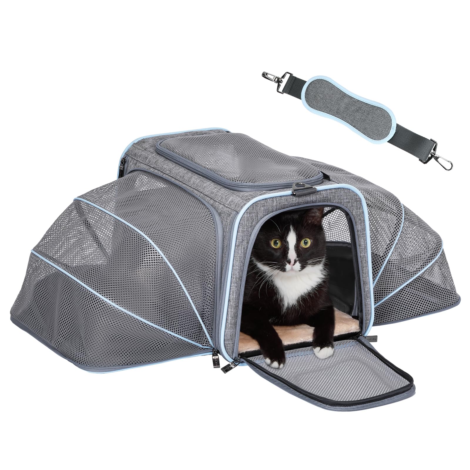 Petsfit — Transportadora Expandible para Gatos y Perros Pequeños, Aprobada por Aerolíneas, Plegable, Lavable y a Prueba de Escapes con 2 Paneles de Expansión