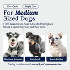 MidWest iCrate — Jaula Plegable de Doble Puerta con Divisor para Perros Medianos
