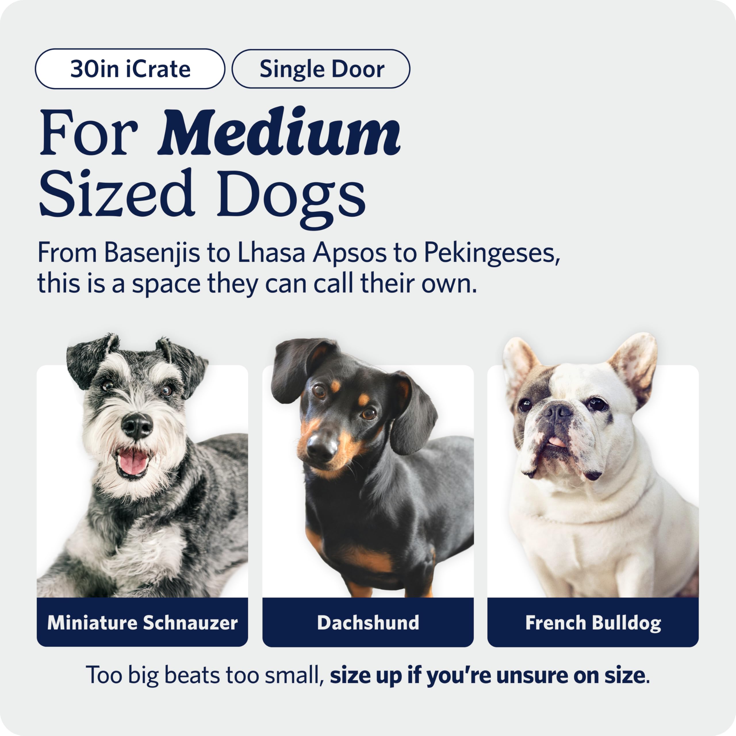 MidWest iCrate — Jaula Plegable de Doble Puerta con Divisor para Perros Medianos