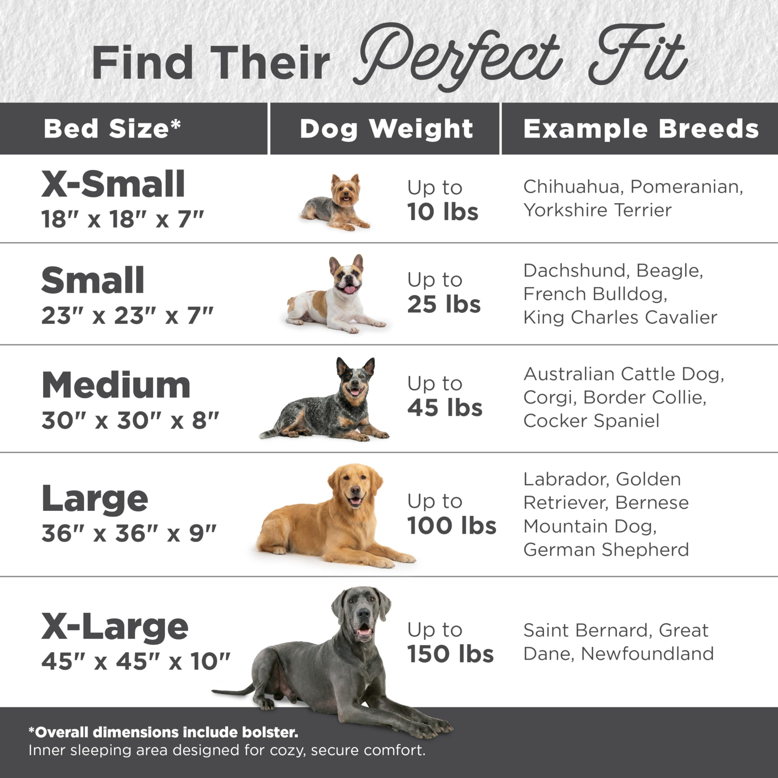 Best Friends by Sheri — Tapete Cama Suave y Reconfortante para Mascotas
