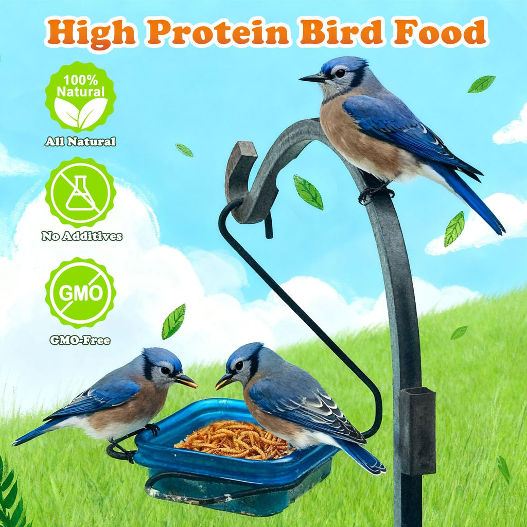 Amzey Gusanos de Harina Deshidratados — Alimento Natural Alto en Proteína para Pollos, Aves, Peces, Tortugas, Patos y Reptiles
