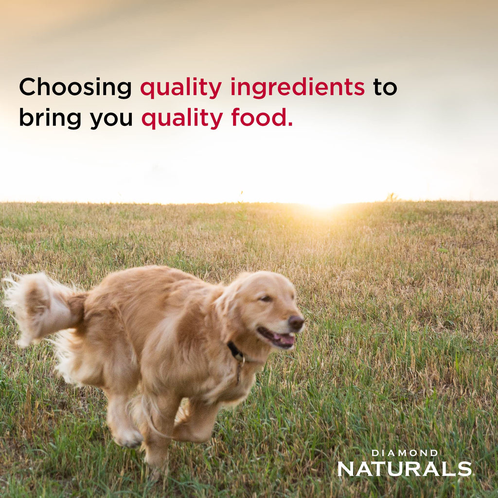 Diamond Naturals Premium — Croquetas con Proteína de Cordero, Superalimentos y Probióticos para Perro Adulto
