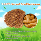 Amzey Gusanos de Harina Deshidratados — Alimento Natural Alto en Proteína para Pollos, Aves, Peces, Tortugas, Patos y Reptiles