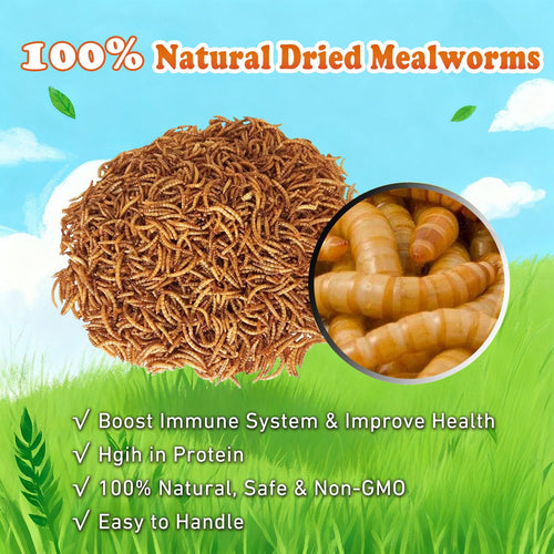 Amzey Gusanos de Harina Deshidratados — Alimento Natural Alto en Proteína para Pollos, Aves, Peces, Tortugas, Patos y Reptiles