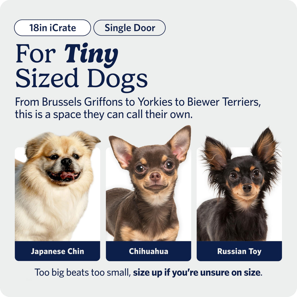 MidWest iCrate — Jaula Plegable de Doble Puerta con Divisor para Perros Medianos