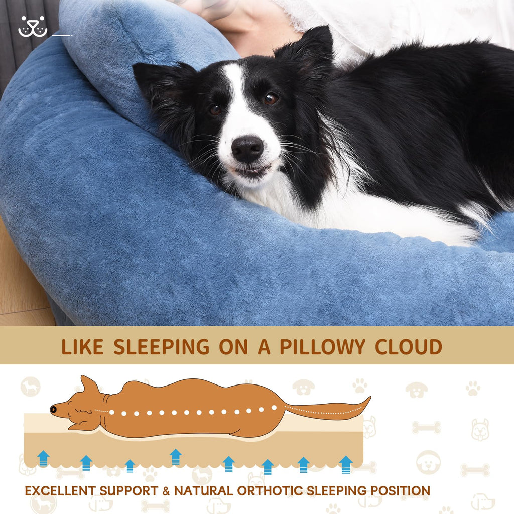 Cama Tamaño Humano para Perros y Adultos con Almohada y Cobija — Felpa Ortopédica Lavable y Removible para Mascotas Grandes