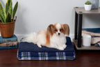 Furhaven — Cama Ortopédica con Cubierta Lavable y Desmontable para Perro