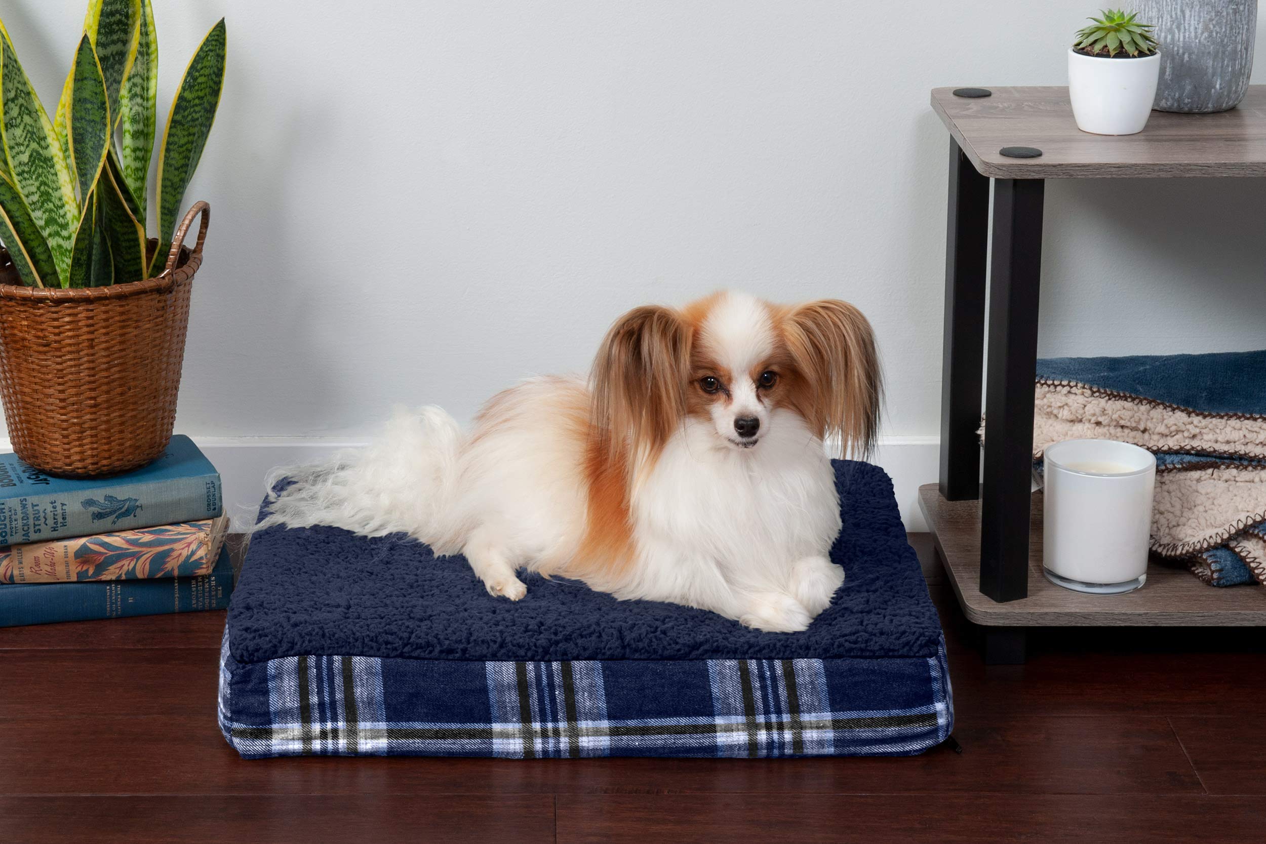 Furhaven — Cama Ortopédica con Cubierta Lavable y Desmontable para Perro