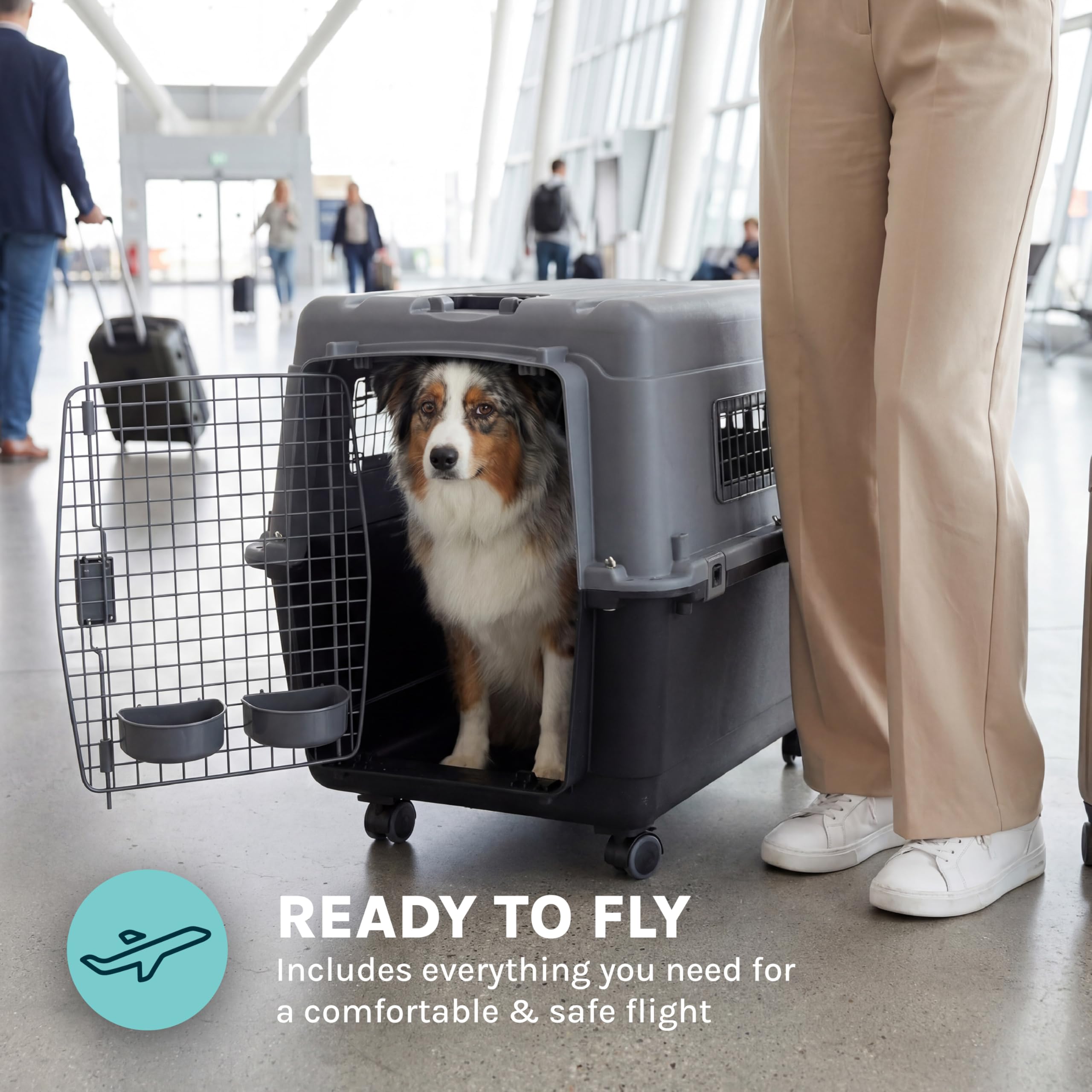 SportPet — Kennel de Viaje Certificado por Aerolíneas con Comederos para Perros y Gatos