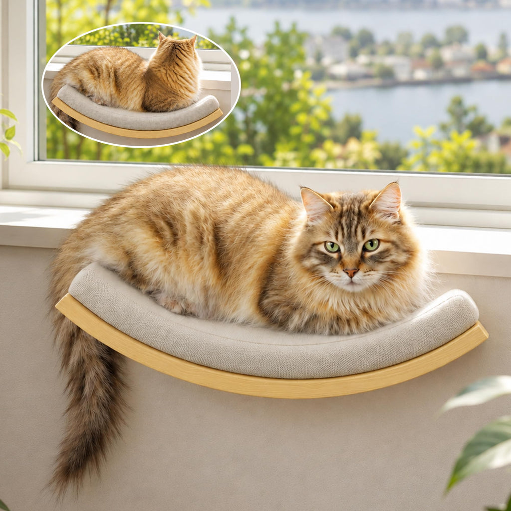 PELUO Curved — Cama Flotante para Gato con 2 Escalones de Pared y Percha de Ventana