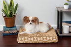 Furhaven — Cama Ortopédica con Cubierta Lavable y Desmontable para Perro
