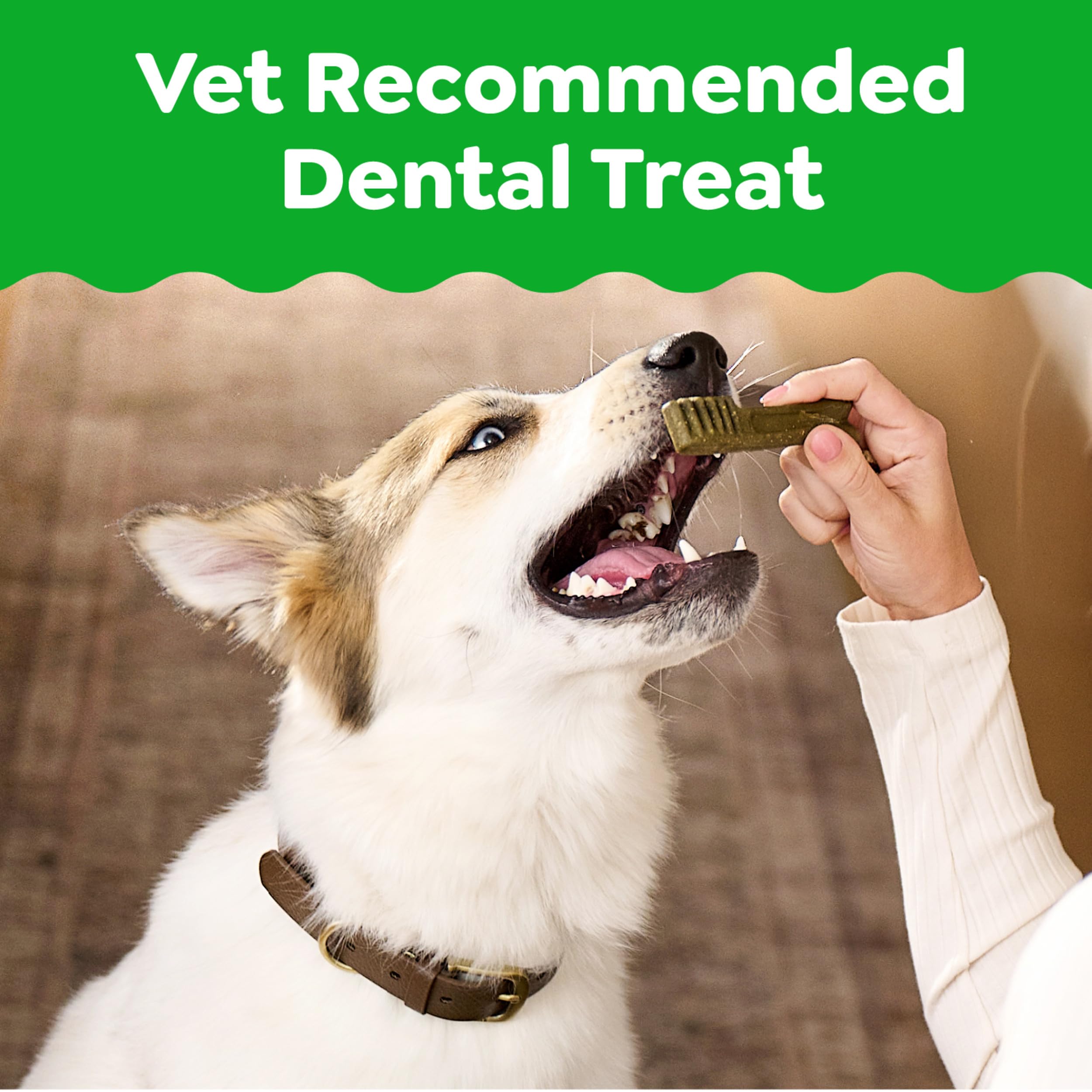 Greenies Teenie — Premios Dentales Naturales para Perro Pequeño
