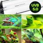 REPTI ZOO — Kit de Iluminación UVB T5 HO para Reptiles con Reflector Curvo y Lámpara 5.0 UVB