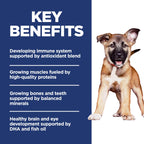 Hill's Science Diet Puppy Large Breed — Alimento Seco Premium para Cachorros de Razas Grandes