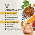 Instinct Be Natural Alimento Seco para Perros con Pollo Real y Arroz Integral — Croquetas con Cobertura de Raw Congelado, Bolsa 25 lb (11.3 kg)