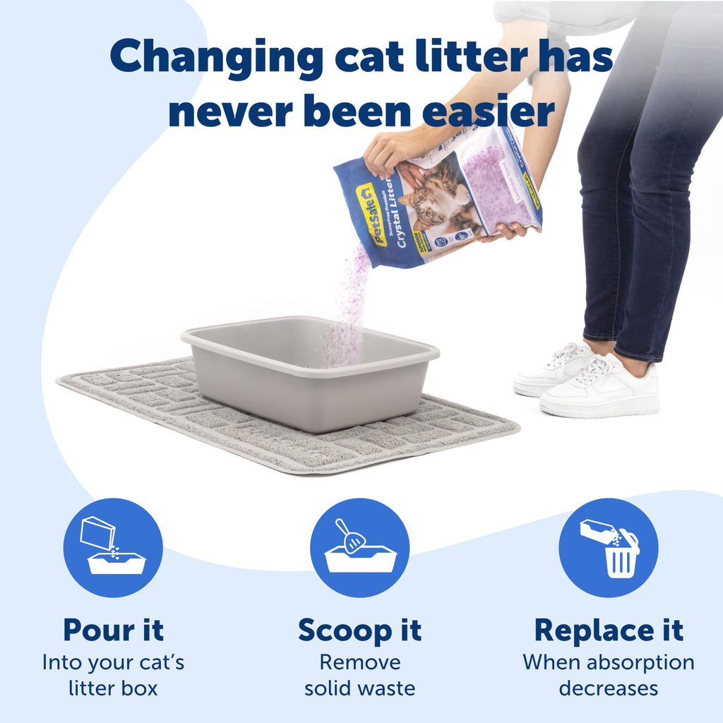 PetSafe ScoopFree — Arena de Cristal con Control de Olores para Gato