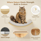 PELUO Curved — Cama Flotante para Gato con 2 Escalones de Pared y Percha de Ventana