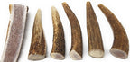 Big Dog Antler Chews — Pack de 6 Mordedores Naturales de Asta de Venado y Alce para Perros Pequeños de 0 a 20 Libras