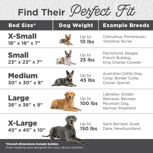Best Friends by Sheri — Tapete Cama Suave y Reconfortante para Mascotas