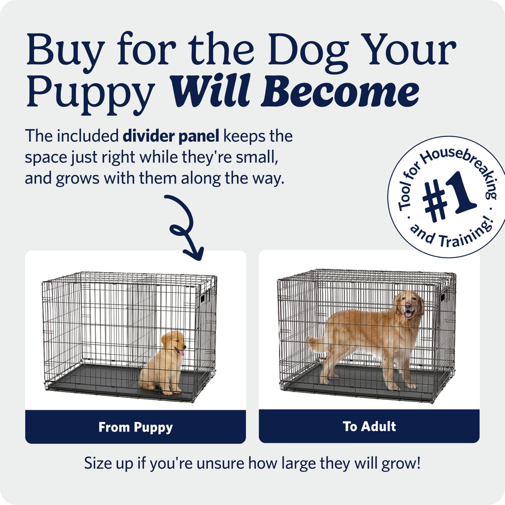 MidWest iCrate — Jaula Plegable de Doble Puerta con Divisor para Perros Medianos