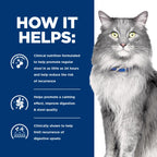 Hill's Prescription Diet Gastrointestinal Biome Stress — Alimento Húmedo para Gatos con Pollo y Verduras, Fórmula Digestiva y Antiestresante, Latas de 82g, Paquete de 24