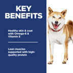 Hill's Science Diet Adult — Croquetas con Proteína de Alta Calidad para Perro Adulto
