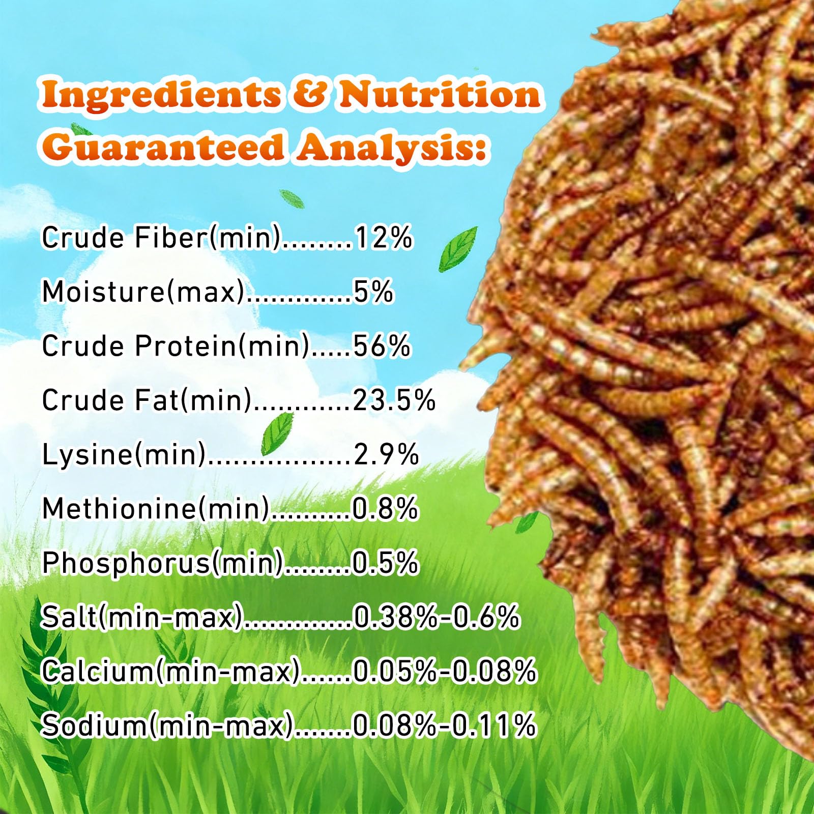 Amzey Gusanos de Harina Deshidratados — Alimento Natural Alto en Proteína para Pollos, Aves, Peces, Tortugas, Patos y Reptiles