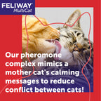 Feliway MultiCat — Difusor de Feromonas para Reducir Tensión entre Gatos (Kit Iniciador 30 Días)
