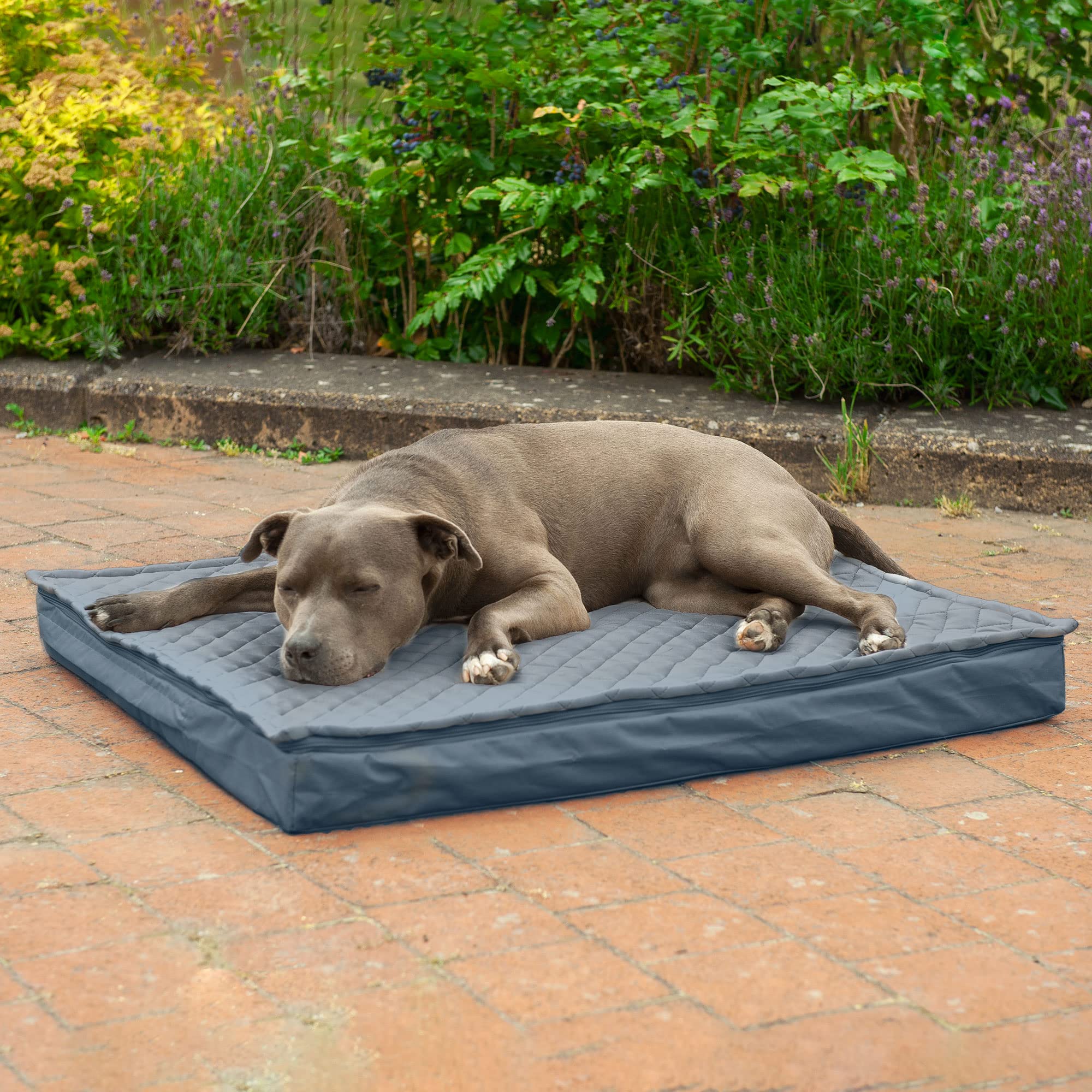 Furhaven — Cama Ortopédica con Cubierta Lavable y Desmontable para Perro