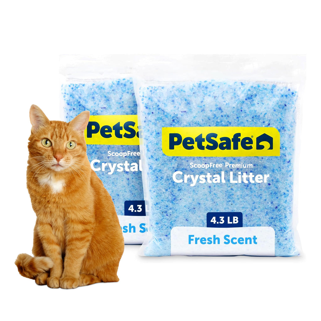 PetSafe ScoopFree — Arena de Cristales de Sílica Premium para Gato, Control de Olores 5 Veces Superior