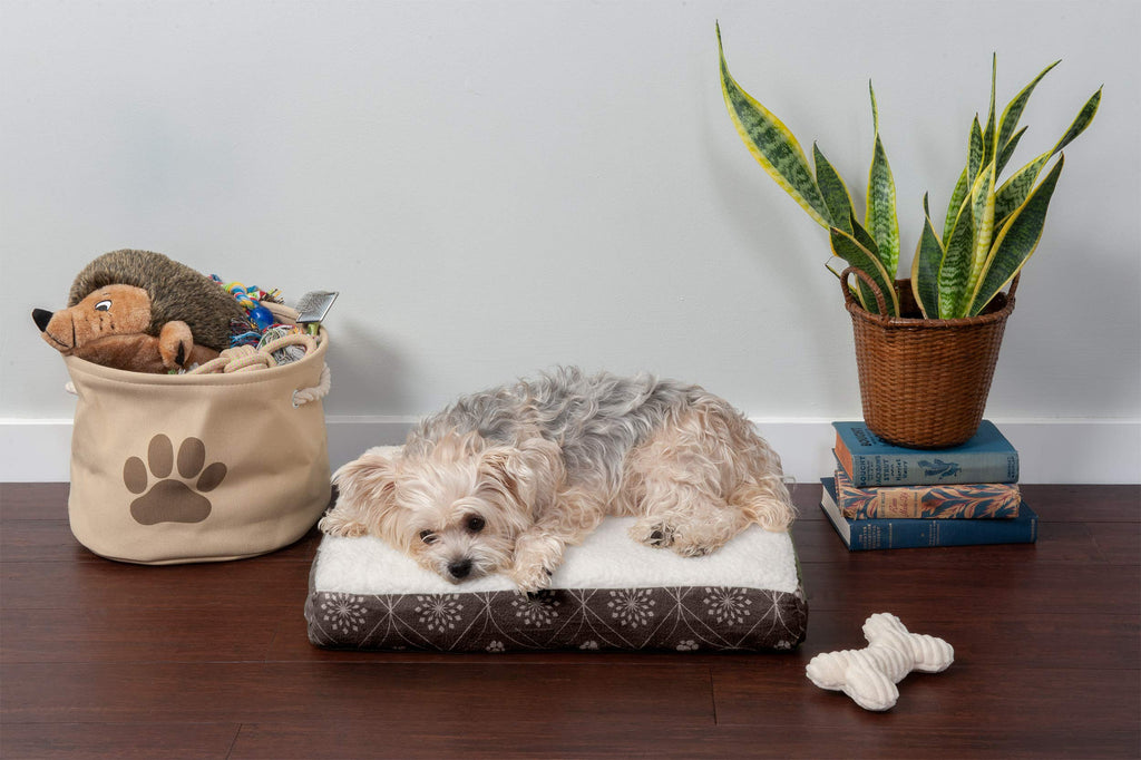 Furhaven — Cama Ortopédica con Cubierta Lavable y Desmontable para Perro