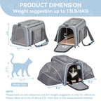 Petsfit — Transportadora Expandible para Gatos y Perros Pequeños, Aprobada por Aerolíneas, Plegable, Lavable y a Prueba de Escapes con 2 Paneles de Expansión