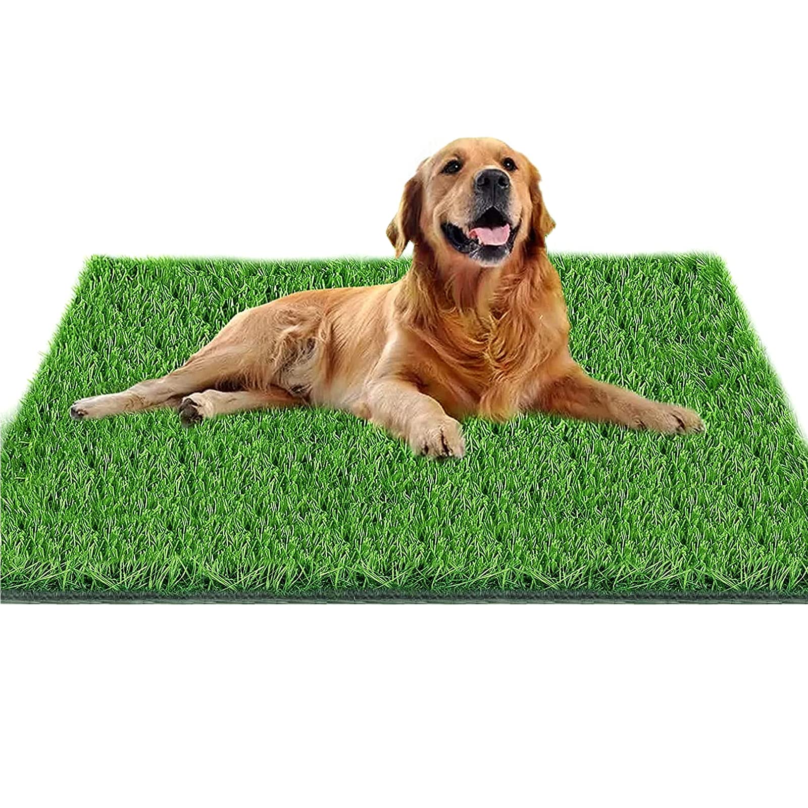 Fortune-star — Tapete de Pasto Artificial Reutilizable para Entrenamiento de Baño para Perros, Uso Interior y Exterior