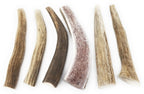 Big Dog Antler Chews — Pack de 6 Mordedores Naturales de Asta de Venado y Alce para Perros Pequeños de 0 a 20 Libras