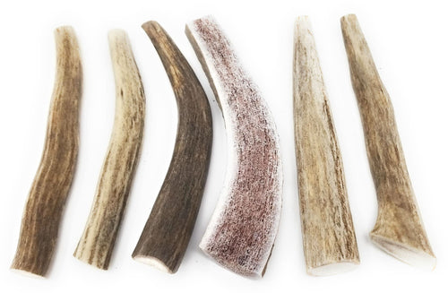 Big Dog Antler Chews — Pack de 6 Mordedores Naturales de Asta de Venado y Alce para Perros Pequeños de 0 a 20 Libras