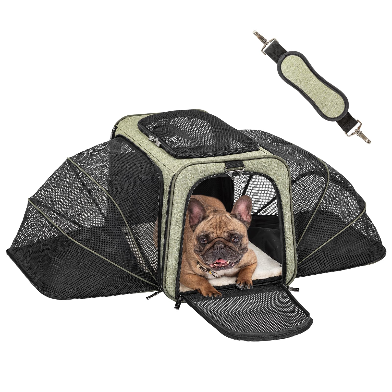 Petsfit — Transportadora Expandible para Gatos y Perros Pequeños, Aprobada por Aerolíneas, Plegable, Lavable y a Prueba de Escapes con 2 Paneles de Expansión