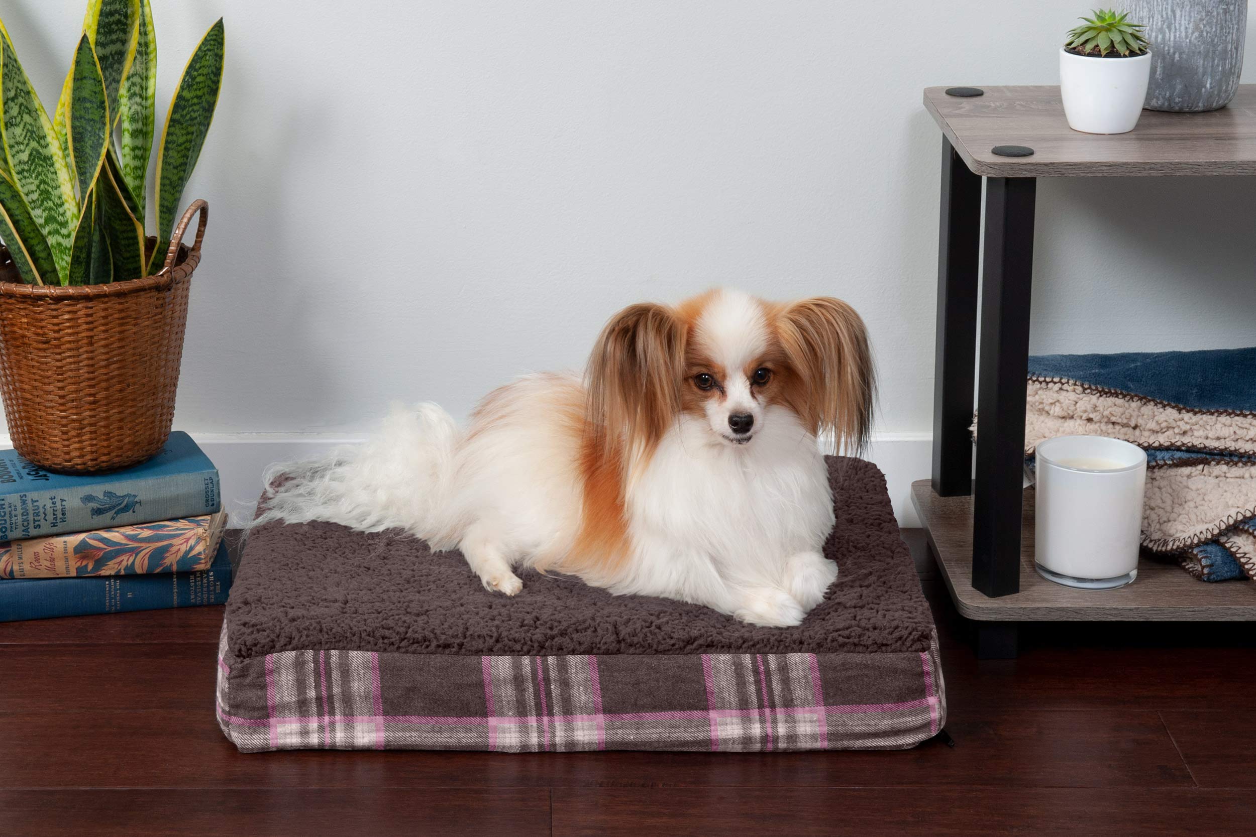 Furhaven — Cama Ortopédica con Cubierta Lavable y Desmontable para Perro