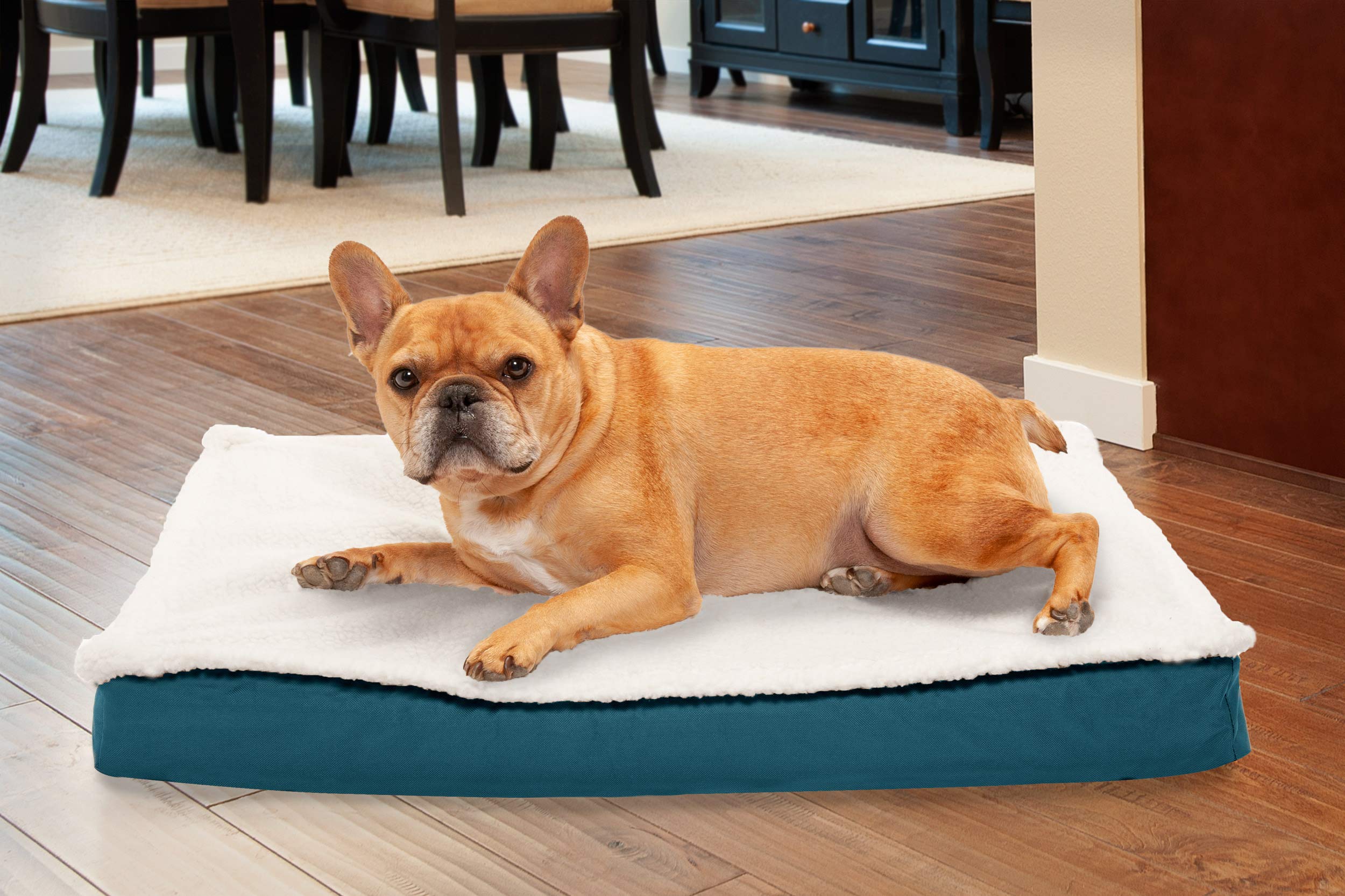 Furhaven — Cama Ortopédica con Cubierta Lavable y Desmontable para Perro