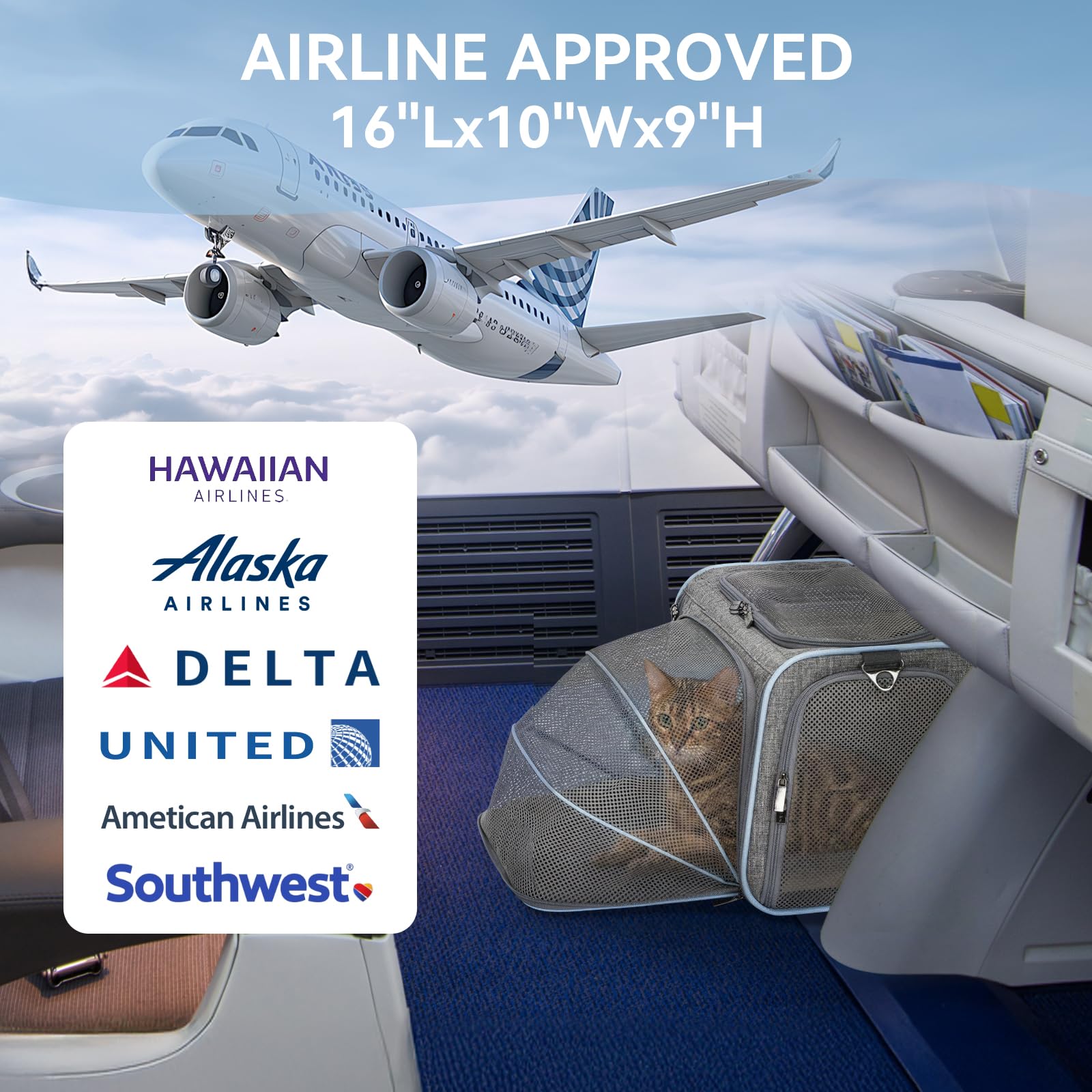 Petsfit — Transportadora Expandible para Gatos y Perros Pequeños, Aprobada por Aerolíneas, Plegable, Lavable y a Prueba de Escapes con 2 Paneles de Expansión